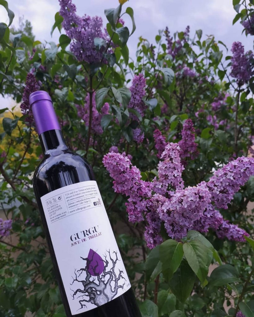 Imagen botella vino sobre fondo de vegetación
