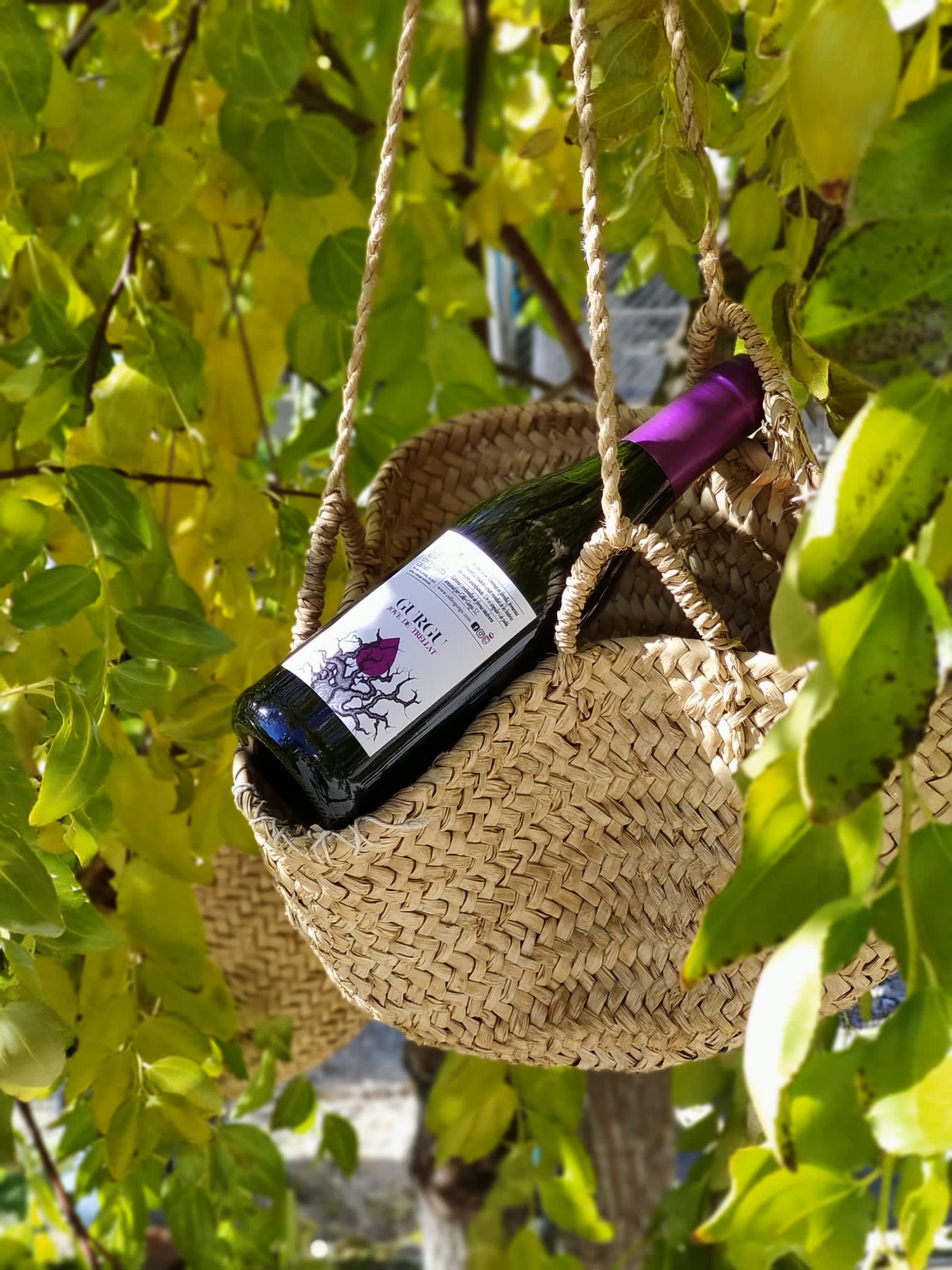 Imagen botella de vino en una cesta colgante